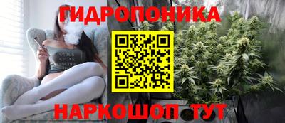 эйфоретик Тара