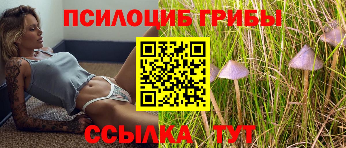 Галлюциногенные грибы ЛСД  Вход с VPN  Нарткала 